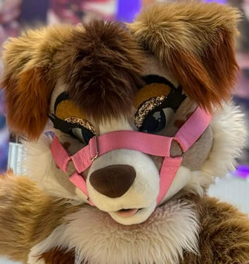 Fursuit